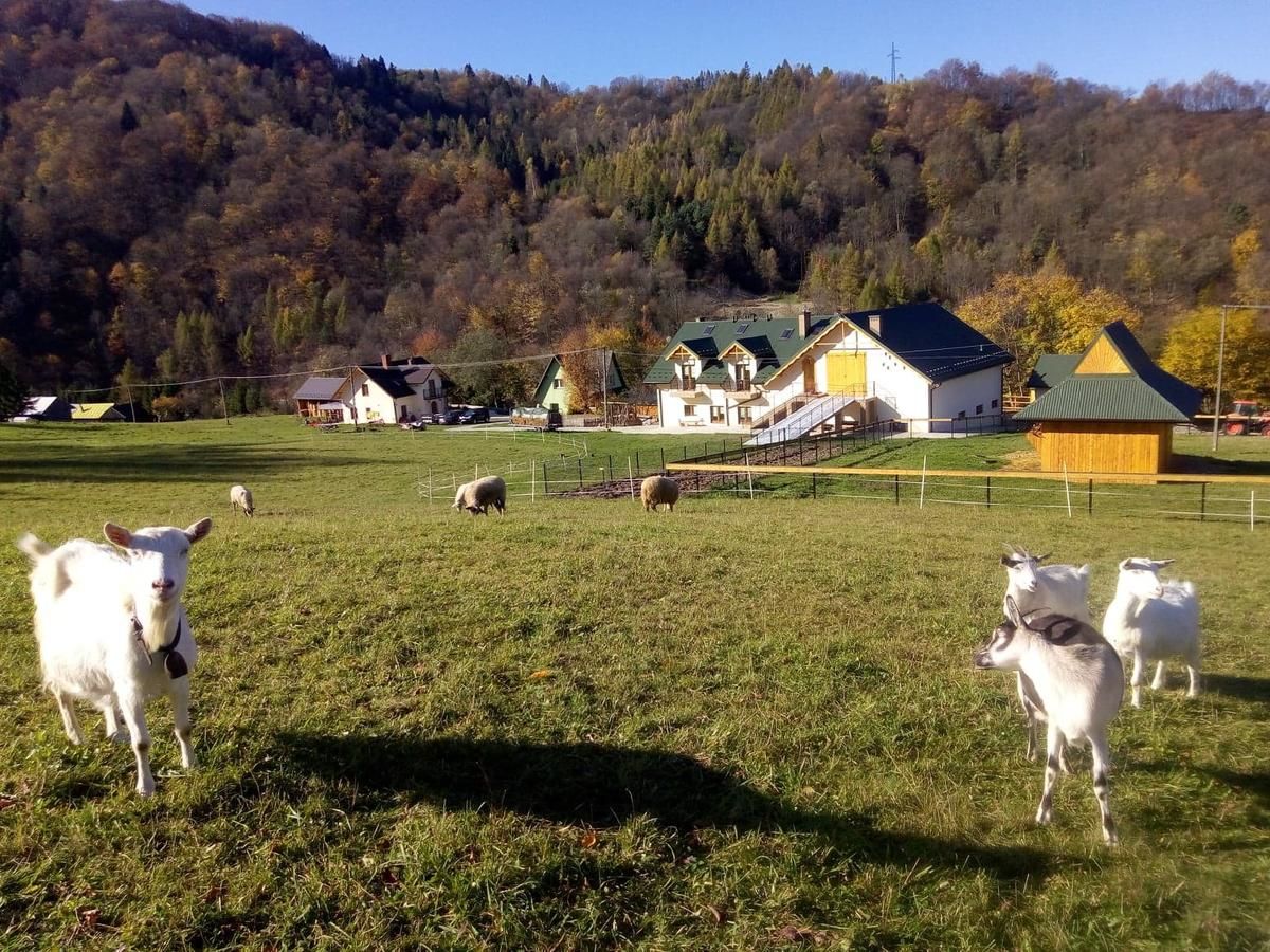 Фермерские дома Agroturystyka Królowo Tylmanowa